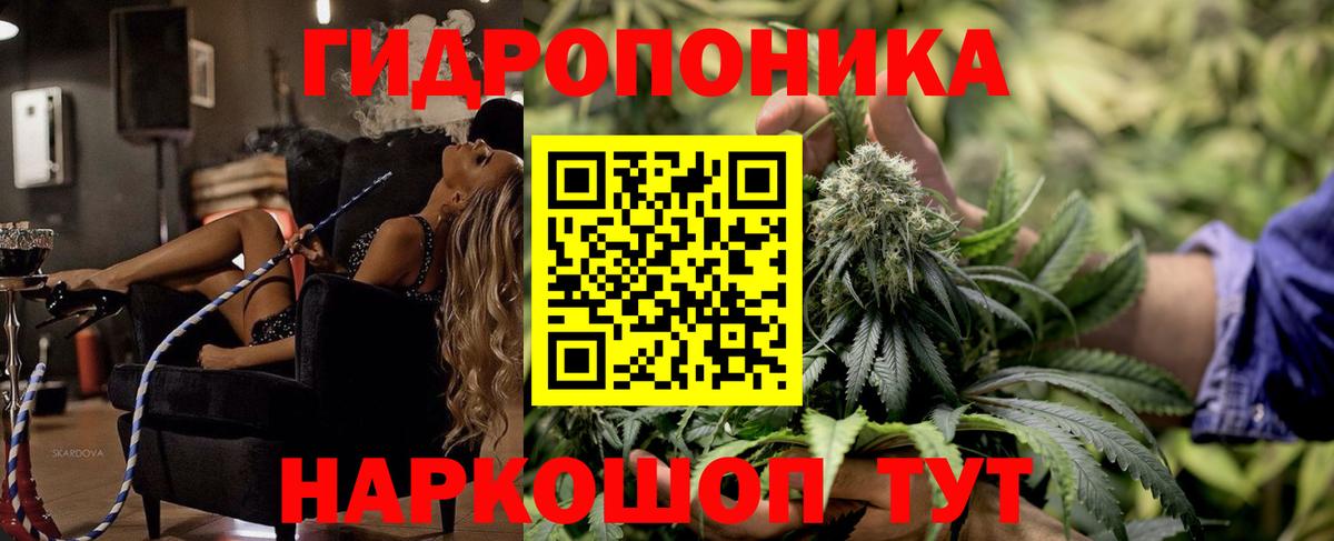 Марихуана семена Тосно